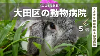 大田区のうさぎを診察出来る動物病院5選！【東京都23区】エキゾチックアニマル