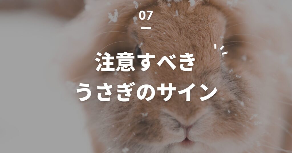 うさぎ寒さ対策「注意すべきうさぎのサイン」