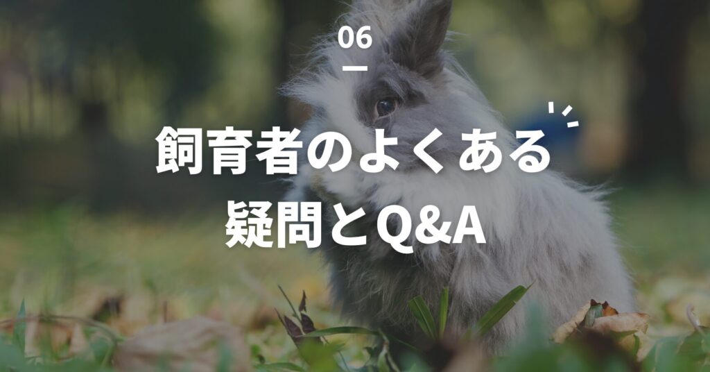 うさぎの飼育者のよくある疑問とQ＆A