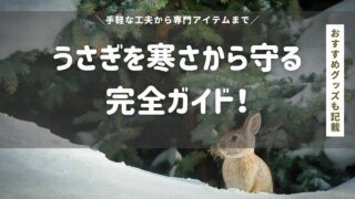 うさぎを寒さから守る完全ガイド：手軽な工夫から専門アイテムまで！