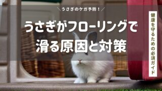うさぎがフローリングで滑る原因と対策｜健康を守るための必須ガイド